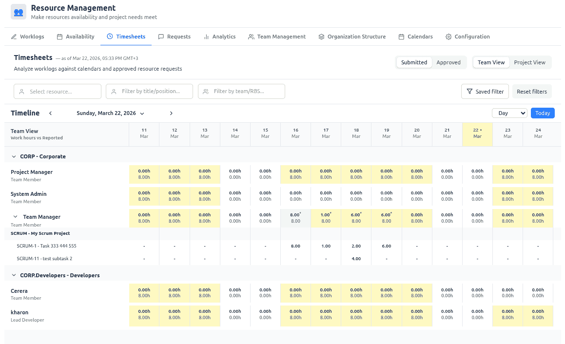 Timesheets — Team or Project view